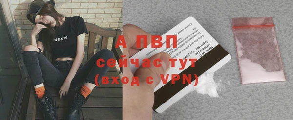 дмт Белокуриха