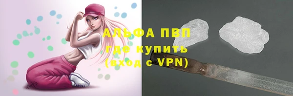 дмт Белокуриха
