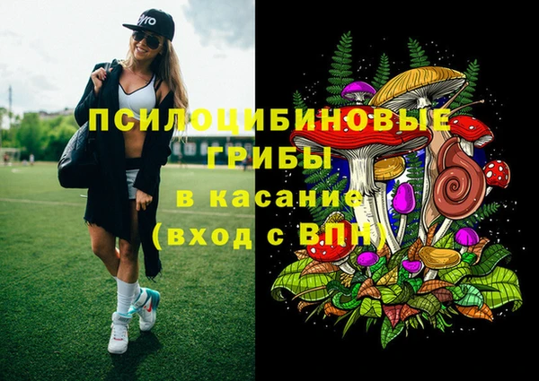 дмт Белокуриха