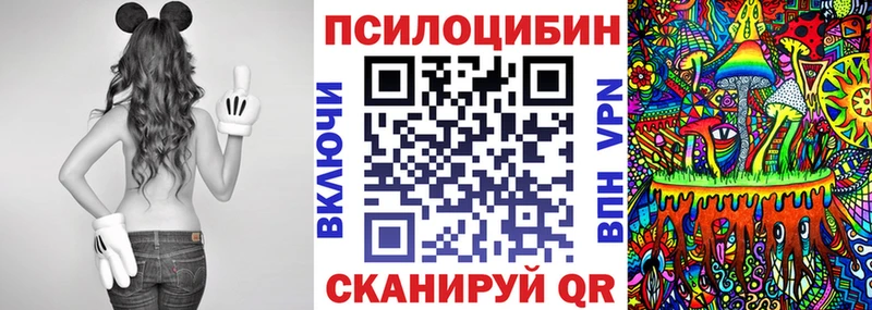 Галлюциногенные грибы MAGIC MUSHROOMS как найти наркотики Дальнегорск