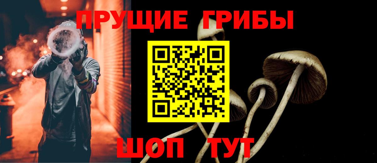 Псилоцибиновые грибы Cubensis Дальнегорск