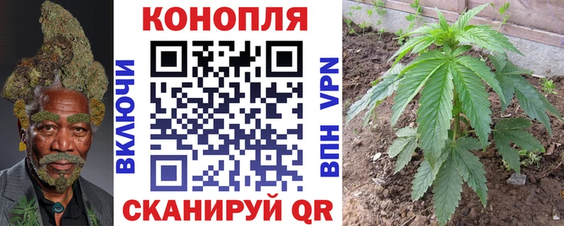 Шишки марихуана тримм  наркошоп  Дальнегорск 